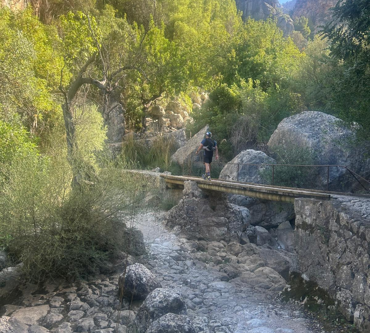 Run Belts vs Running Shorts with Integrated Pockets: What's Best for Trail Running?