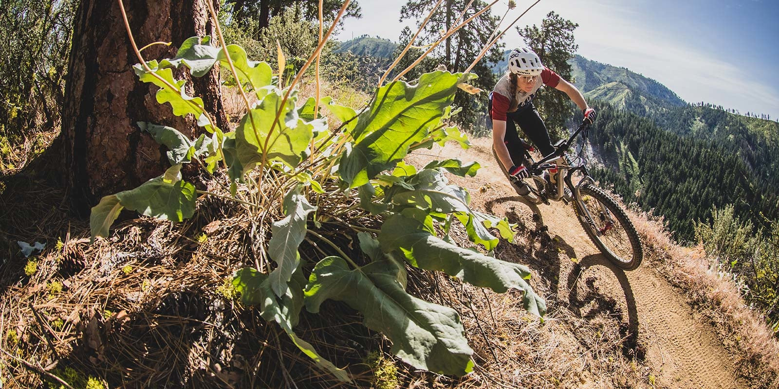 mountain biker heading down side of hill using mud path and competing in Enduro MTB