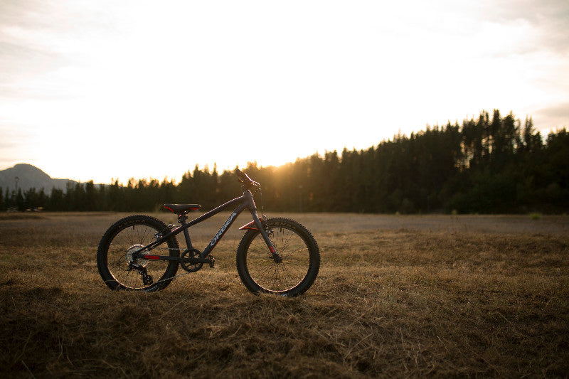 Orbea MX Junior Bikes