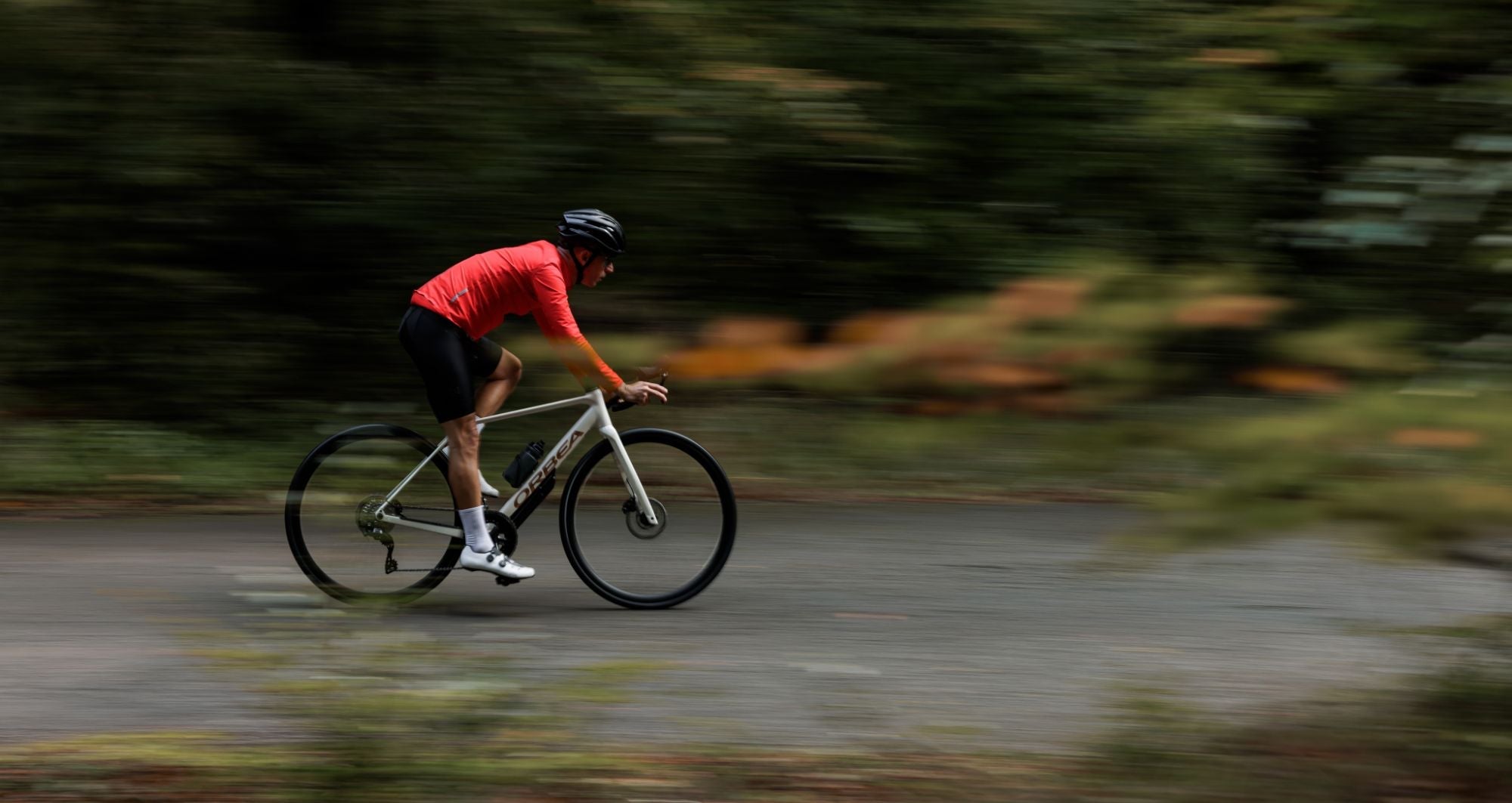 Orbea Bikes