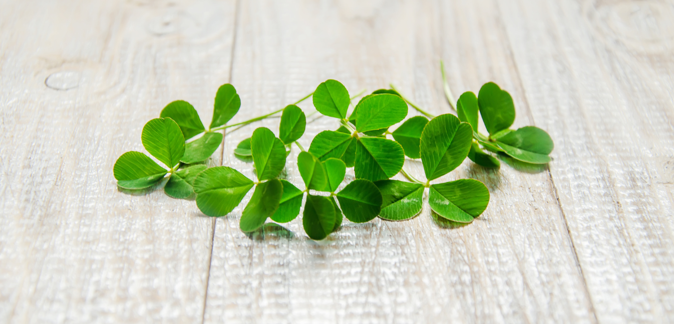 Going Green For Paddy's Day