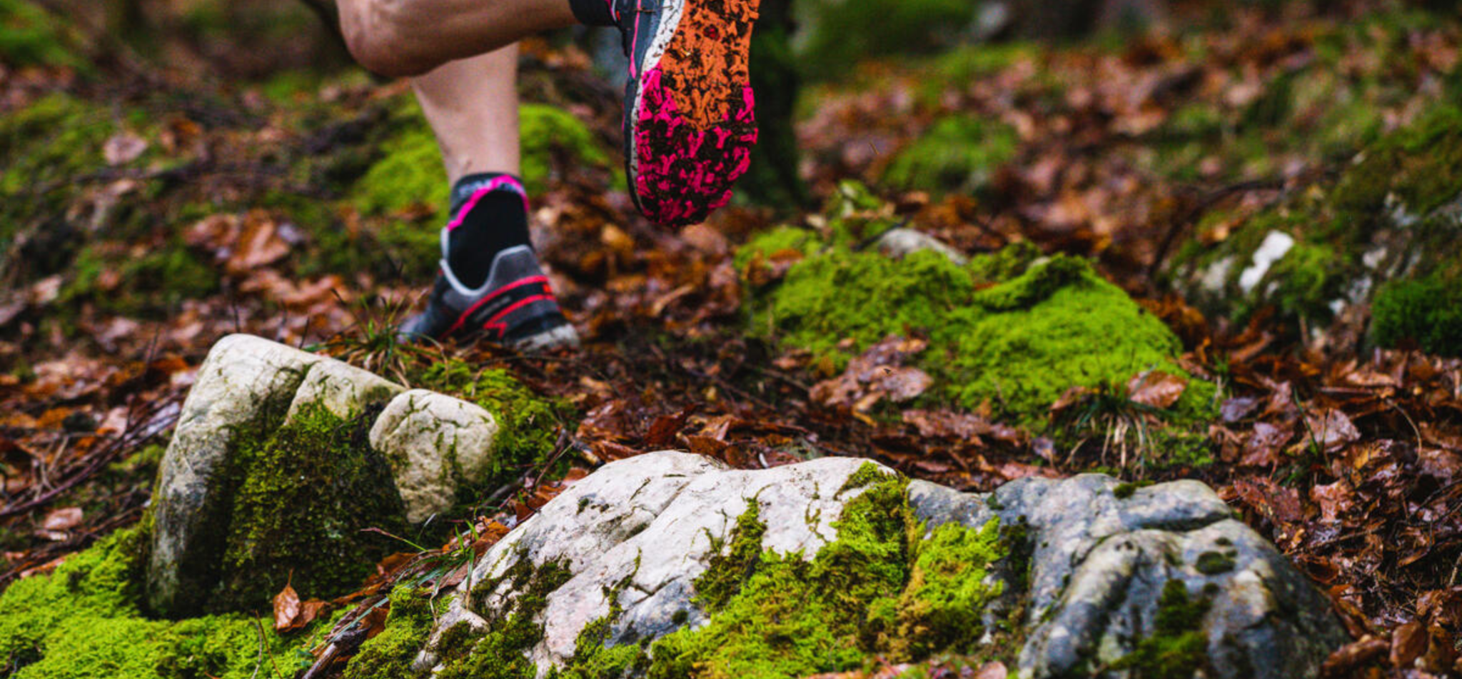 buy trail running shoes for men at the sports room wickow, salomon trail runner