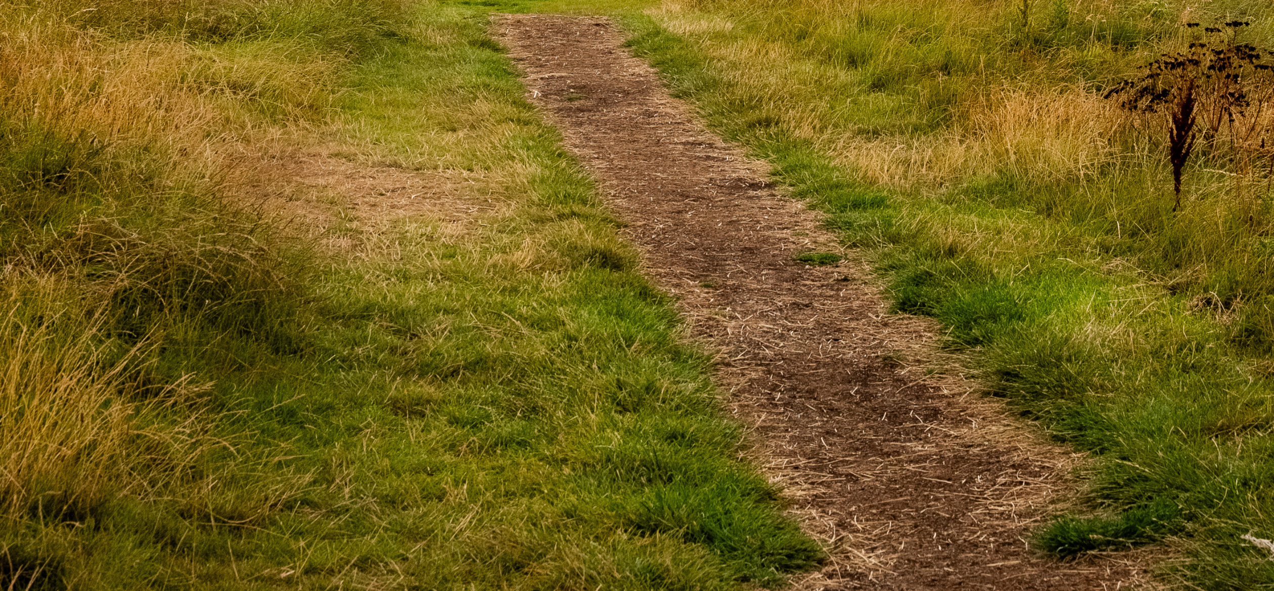Trail Running