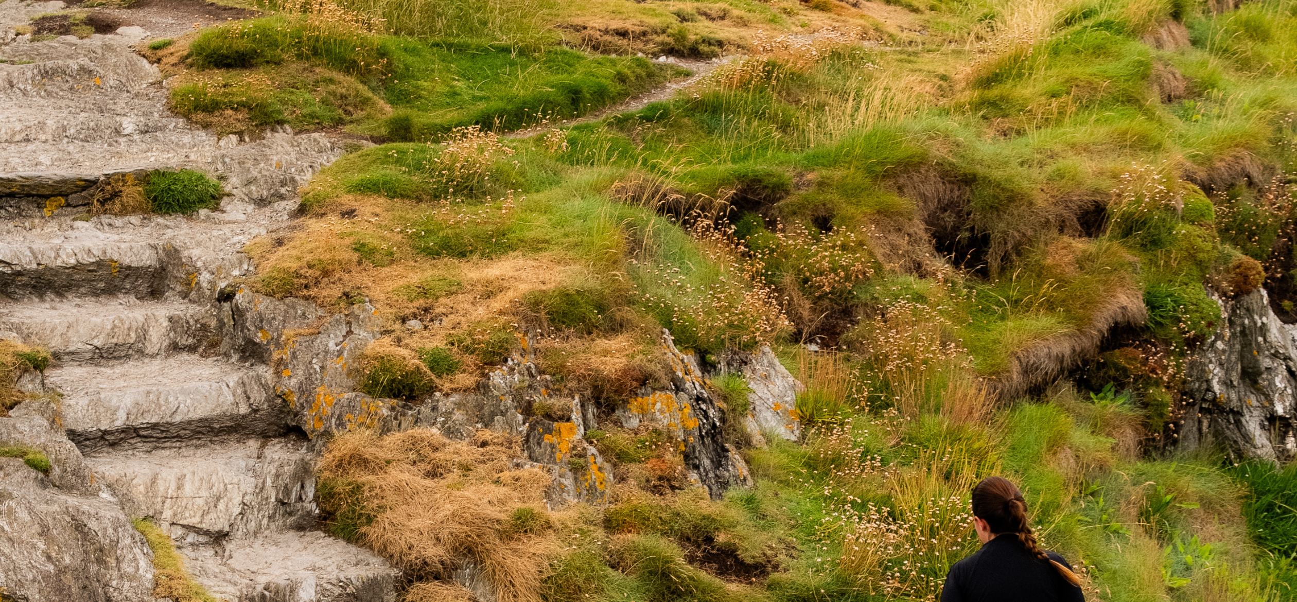 trail running at the black castle wicklow town