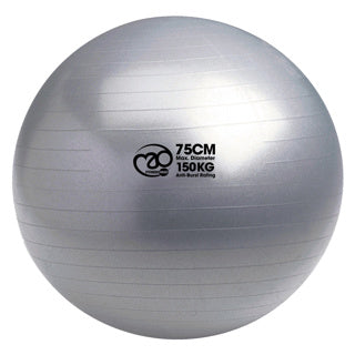 Silver exercise ball with size and weight markings on a white background