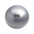 Silver exercise ball with size and weight information