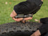 topeak tubi 11 functions multitool with tubeless puncture repair, black with silver tools, hand using tool to patch tyre puncture