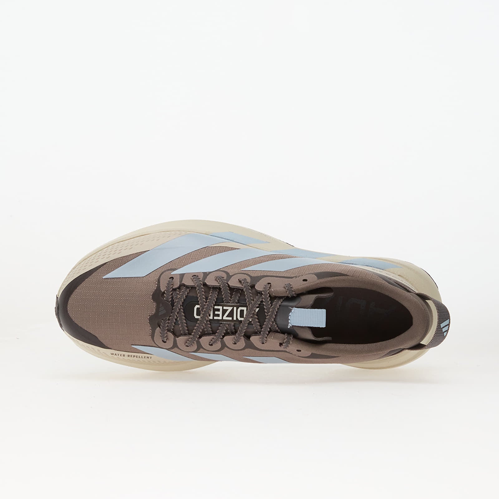 adidas adizero evl sl women's running shoe in blue brown colour, top view