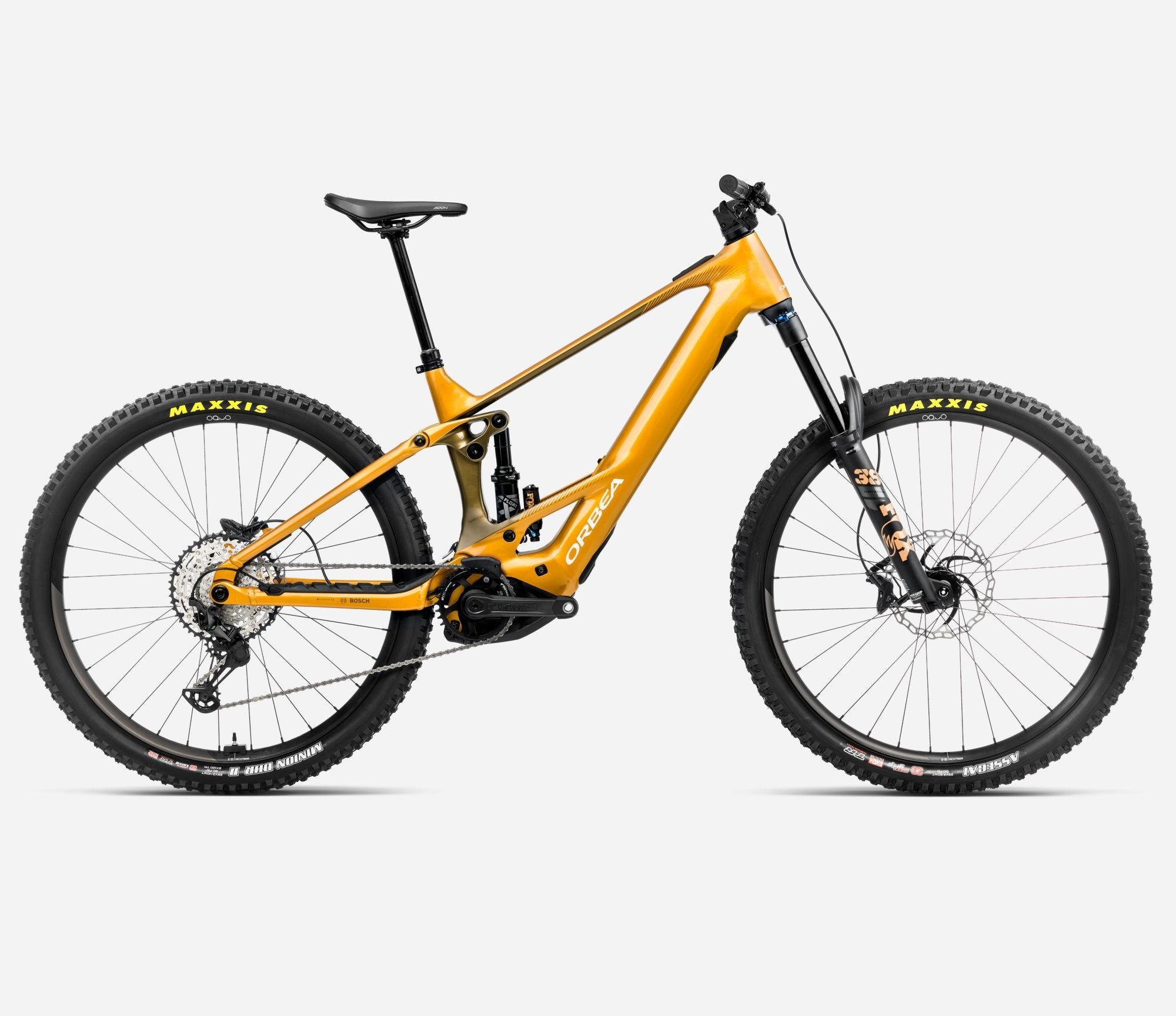 Orbea Wild H10