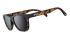 Tortoiseshell unisex sunglasses for running, on a white background