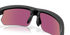 oakley bisphaera inside