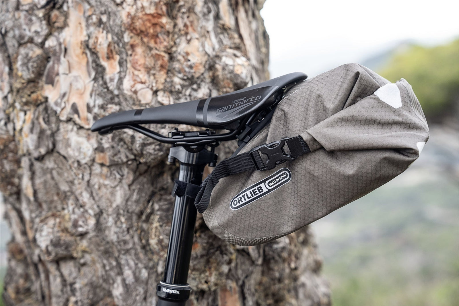 Bicycle leaning against tree with Ortlieb saddle bag attached to stem