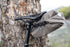 Bicycle leaning against tree with Ortlieb saddle bag attached to stem