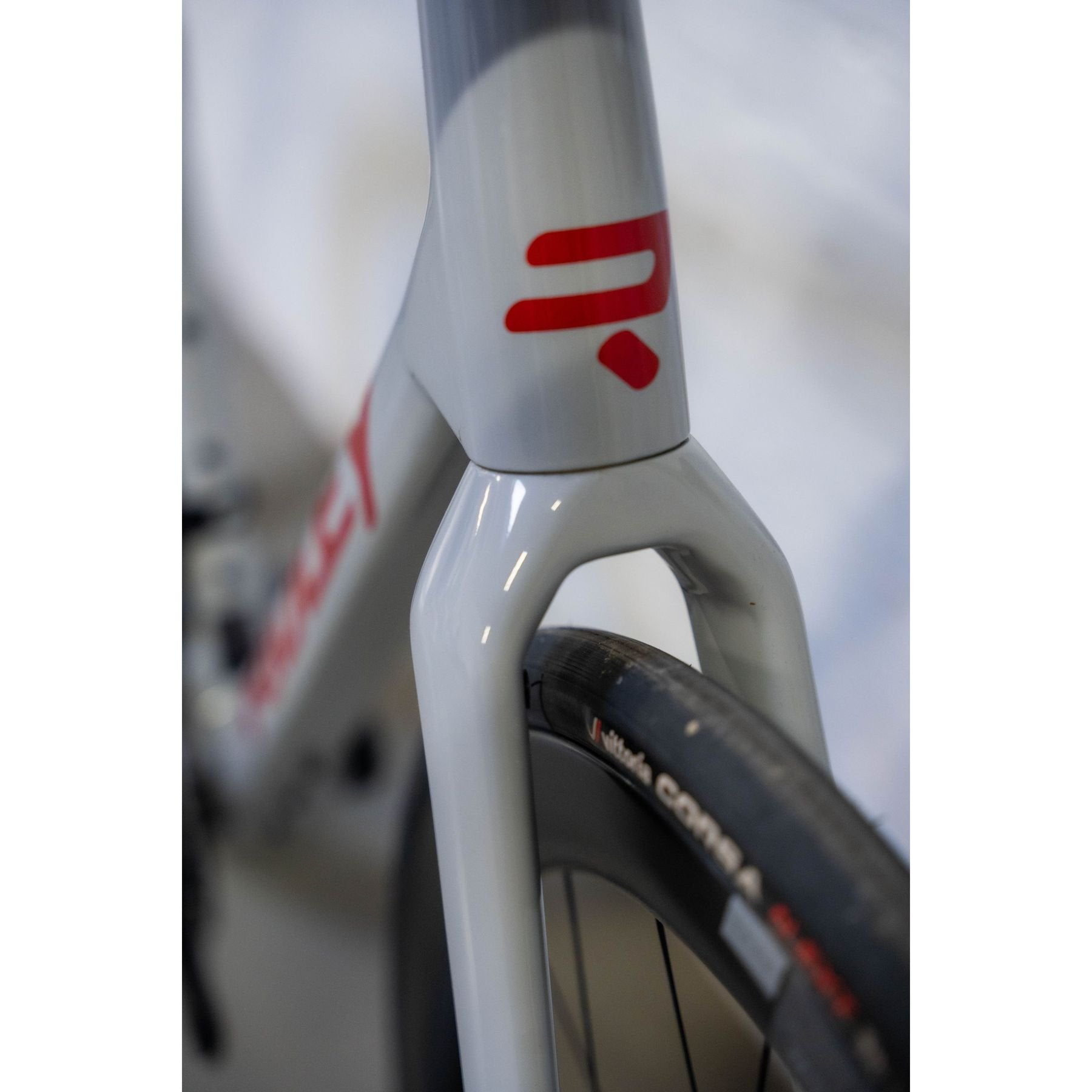 close up of Ridley Grifn bike fork