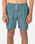 Rip Curl Daily Volley Boardshort