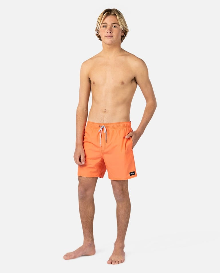 Rip Curl Daily Volley Boardshort