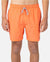 Rip Curl Daily Volley Boardshort
